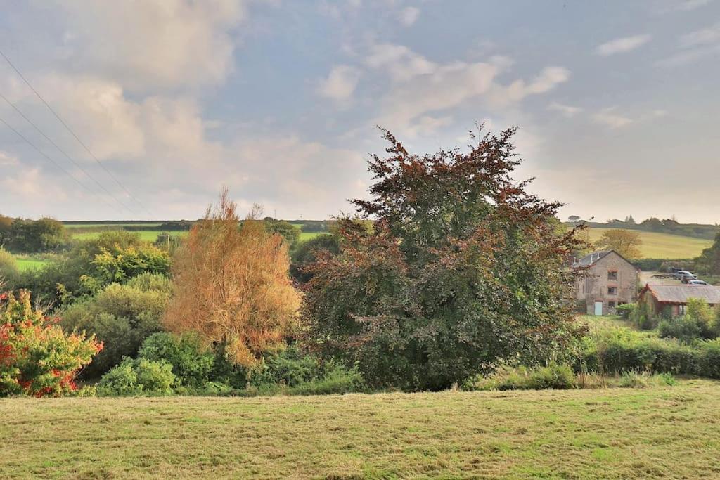 Guest Homes - Lower Mill Combe Martin Exterior photo